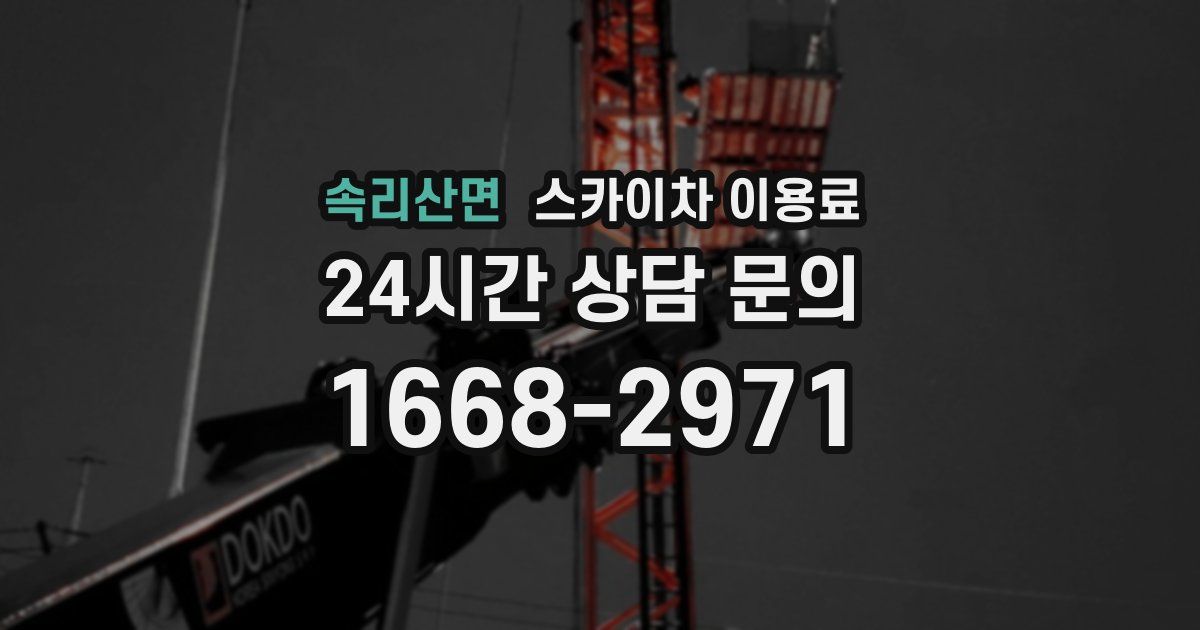 속리산면 스카이차 이용료