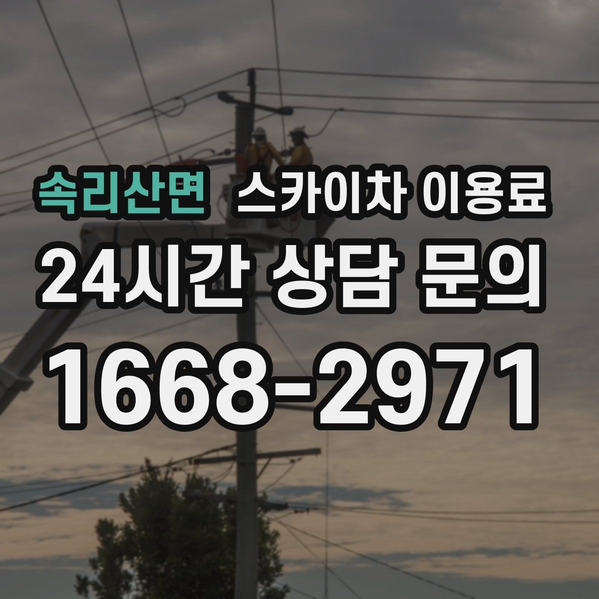 속리산면 스카이차 이용료