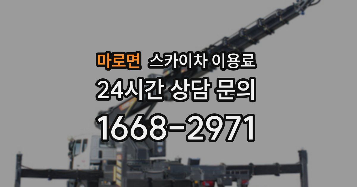마로면 스카이차 이용료
