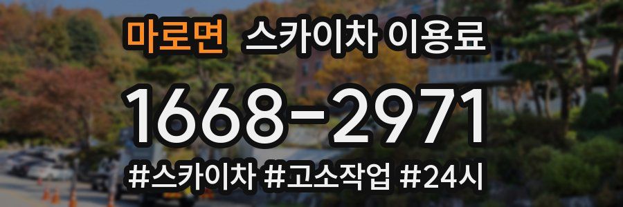 마로면 스카이차 이용료