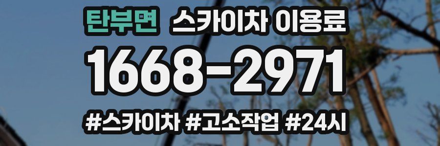 탄부면 스카이차 이용료