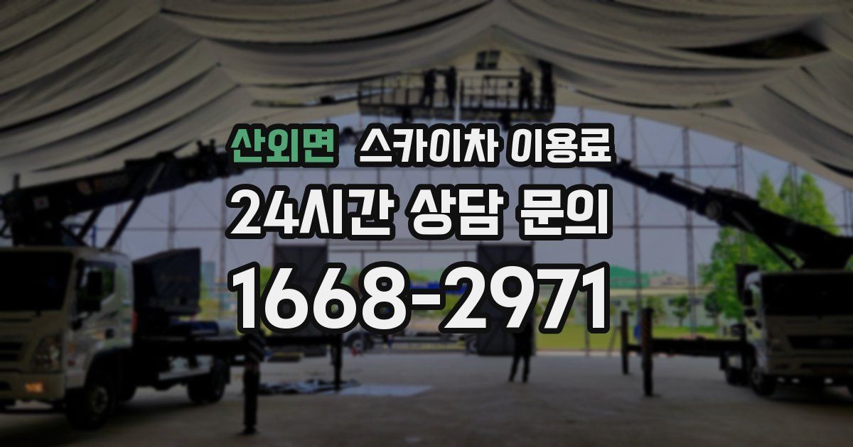 산외면 스카이차 이용료