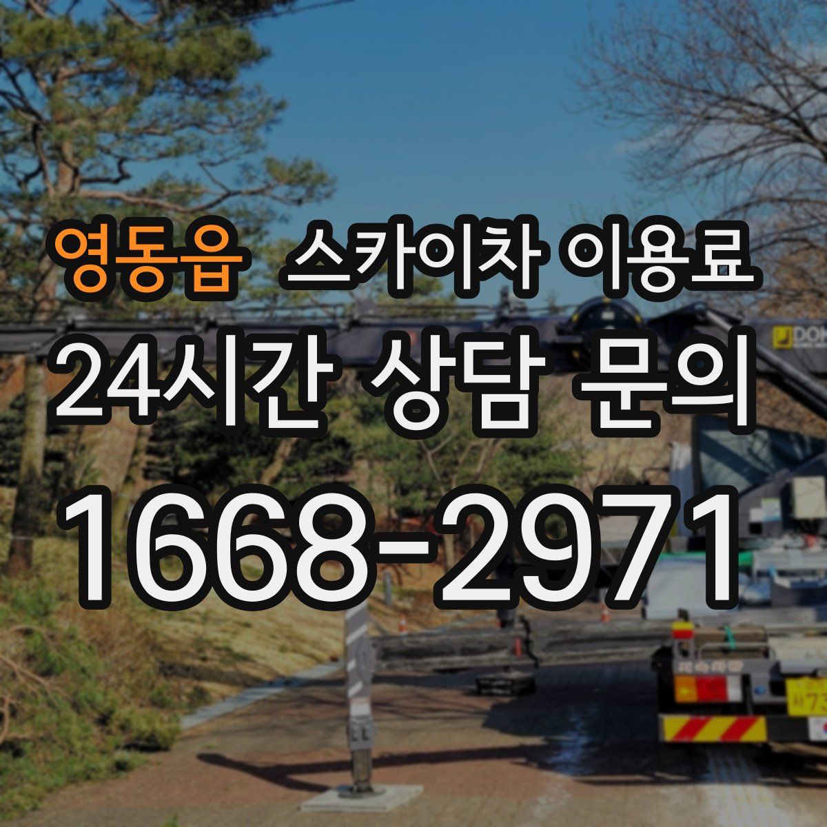 영동읍 스카이차 이용료