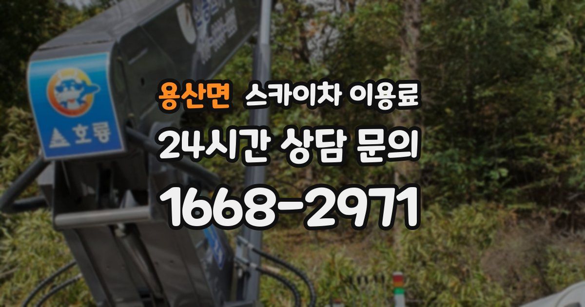용산면 스카이차 이용료
