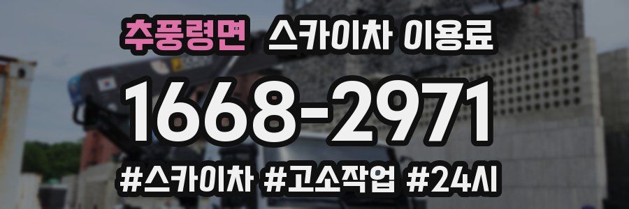 추풍령면 스카이차 이용료