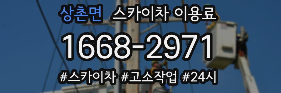 상촌면 스카이차 이용료