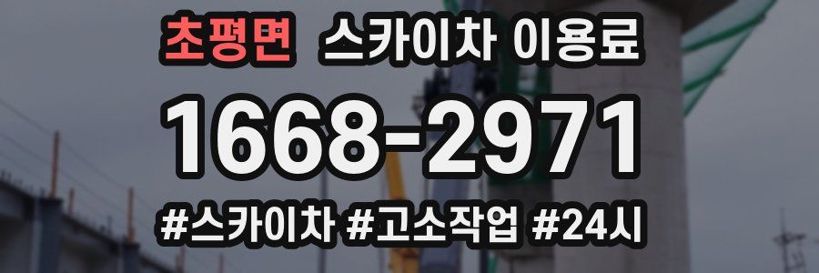 초평면 스카이차 이용료