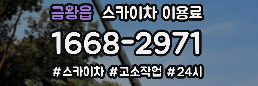 금왕읍 스카이차 이용료