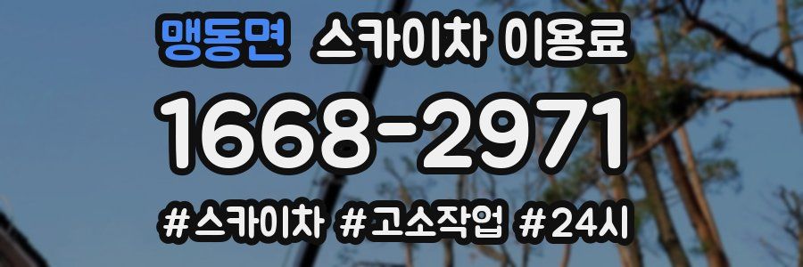 맹동면 스카이차 이용료