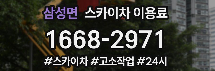 삼성면 스카이차 이용료