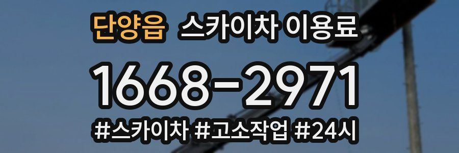 단양읍 스카이차 이용료
