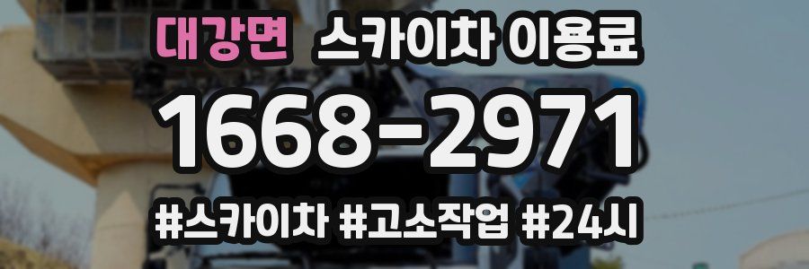 대강면 스카이차 이용료