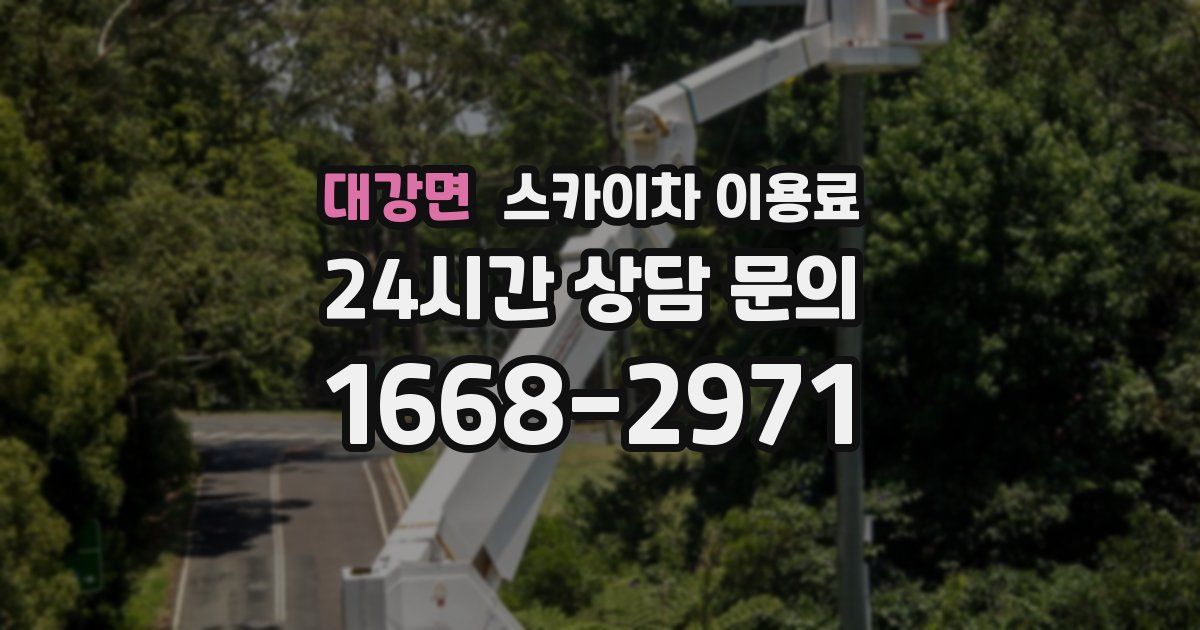대강면 스카이차 이용료