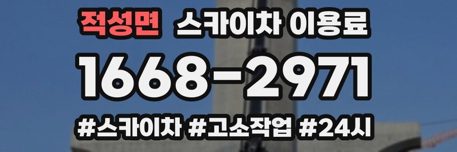 적성면 스카이차 이용료