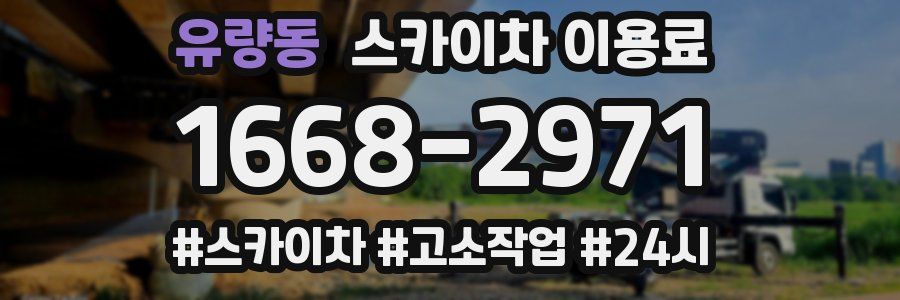 유량동 스카이차 이용료
