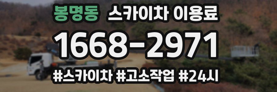 봉명동 스카이차 이용료