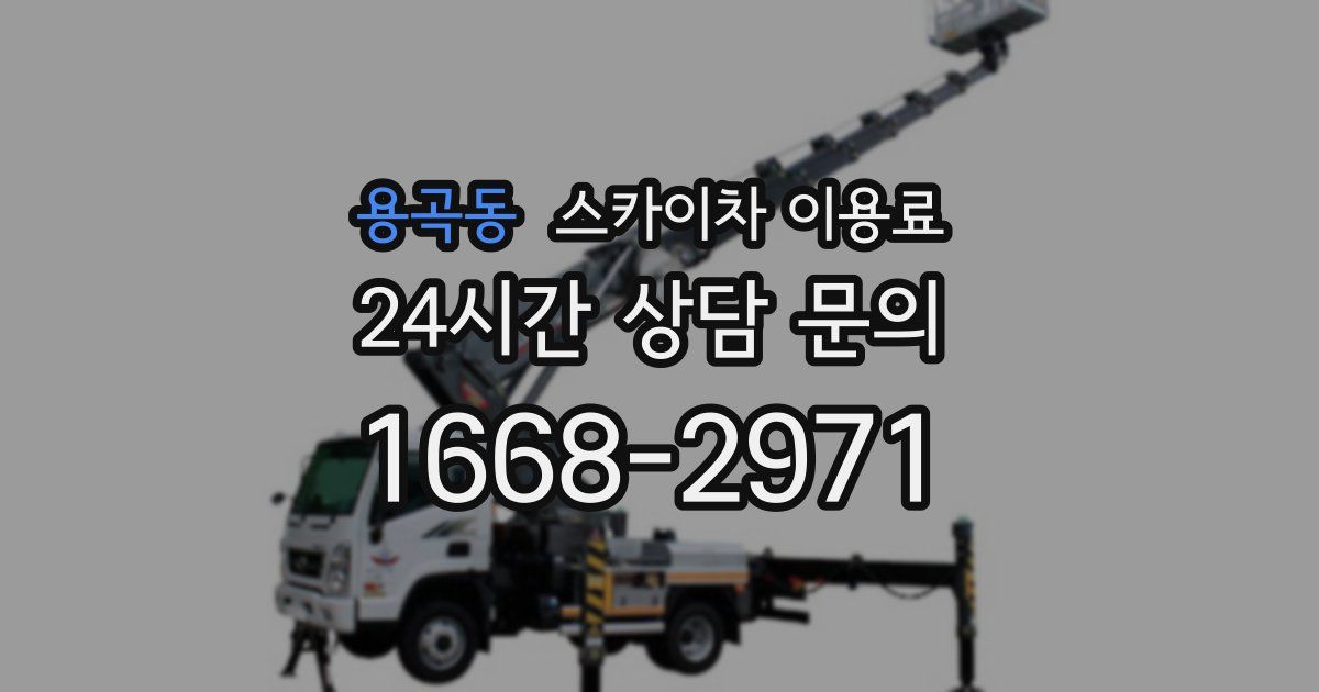 용곡동 스카이차 이용료