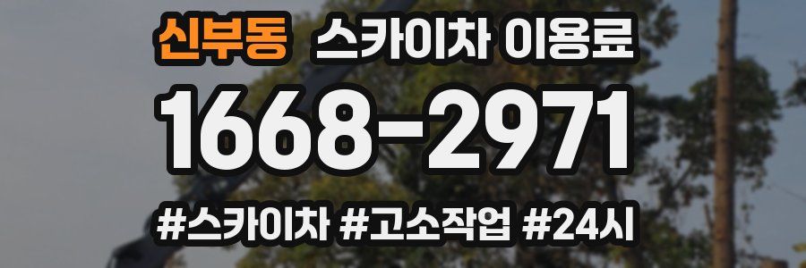 신부동 스카이차 이용료