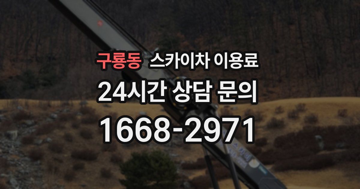 구룡동 스카이차 이용료