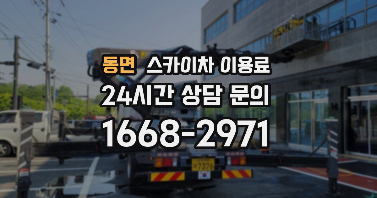 동면 스카이차 이용료