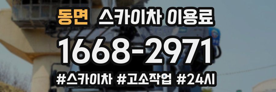 동면 스카이차 이용료