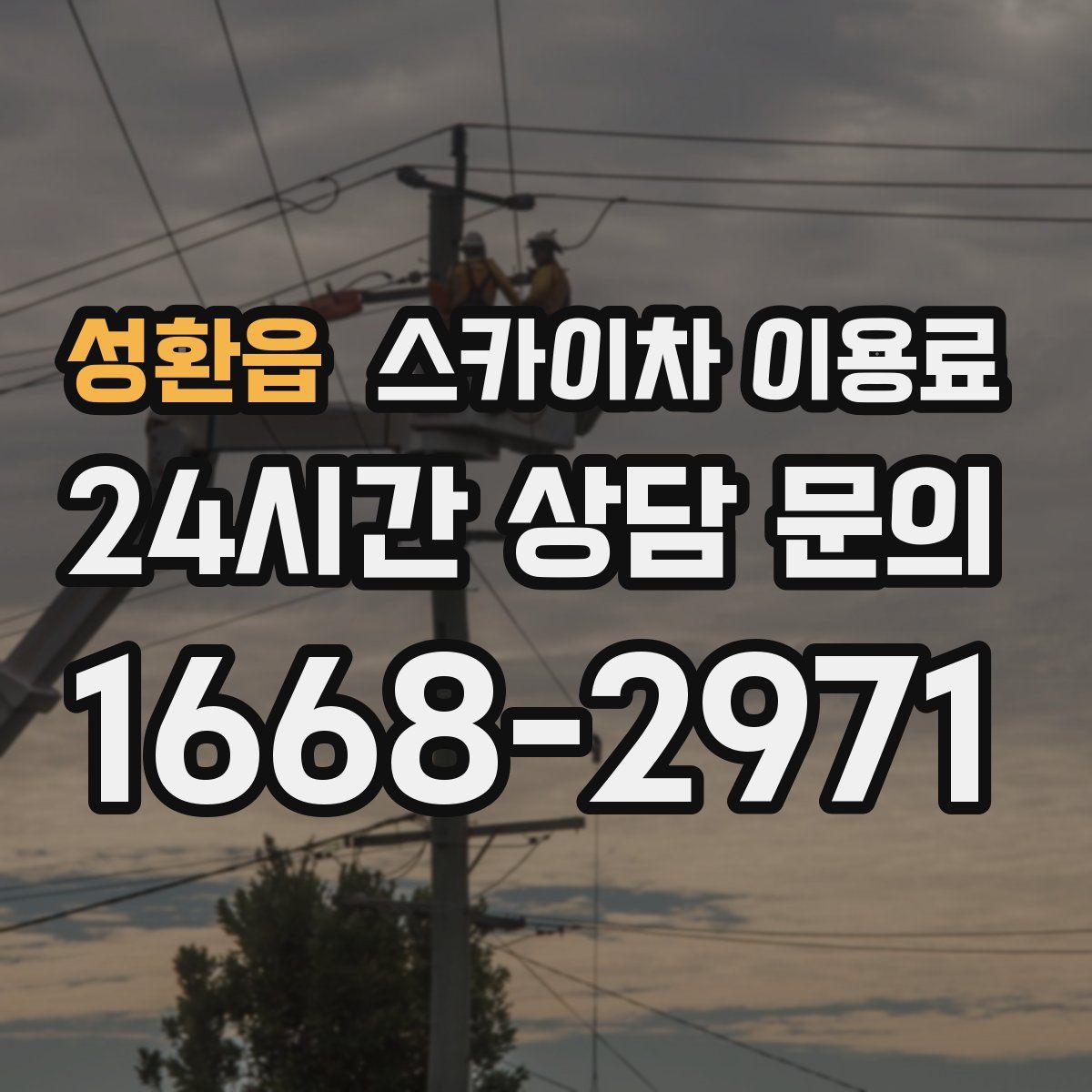 성환읍 스카이차 이용료