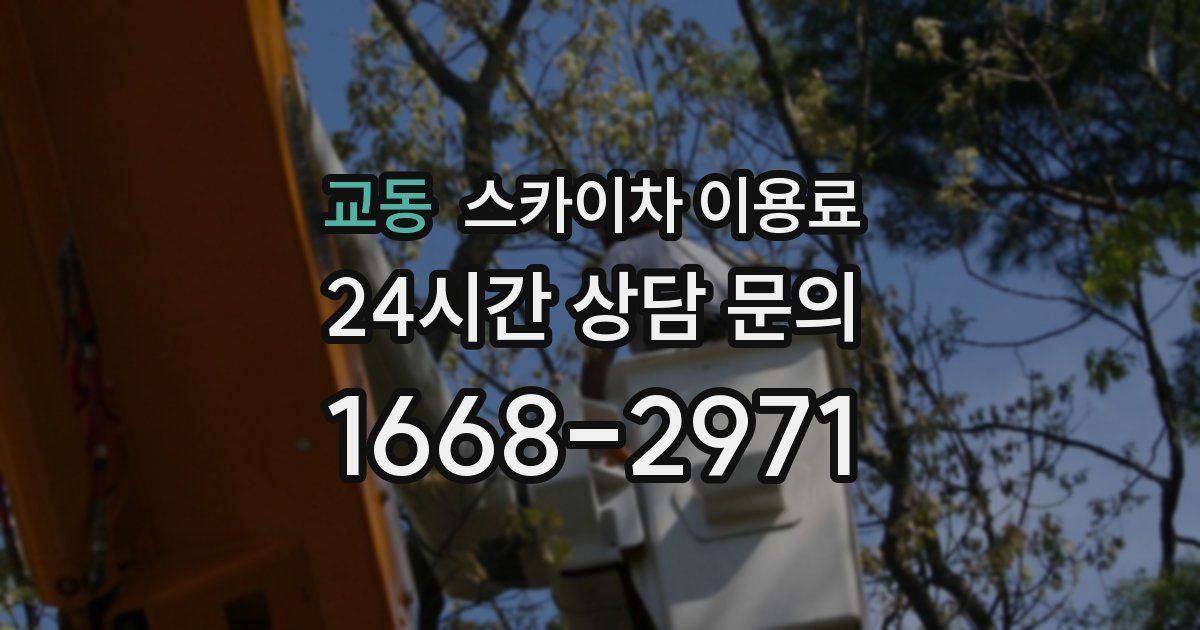 교동 스카이차 이용료