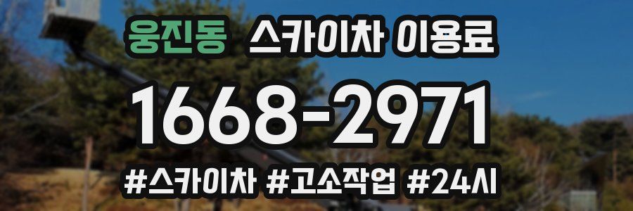 웅진동 스카이차 이용료