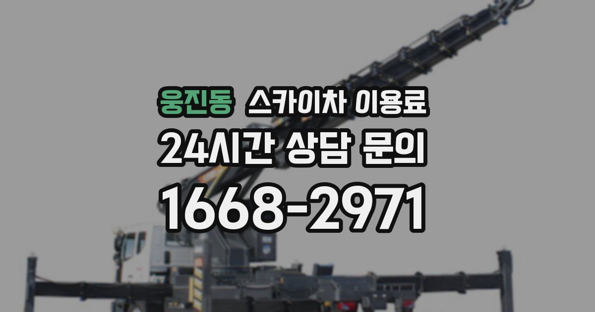 웅진동 스카이차 이용료