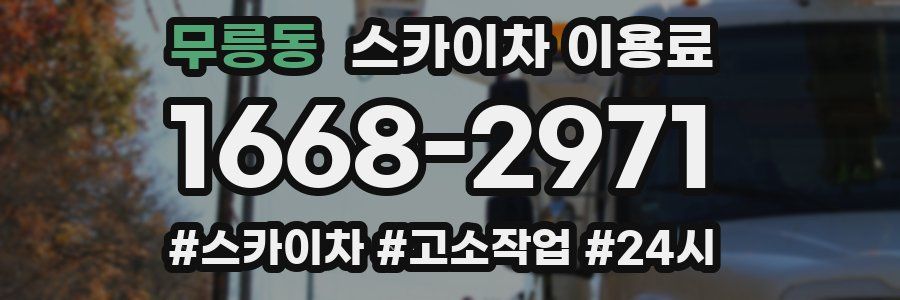무릉동 스카이차 이용료
