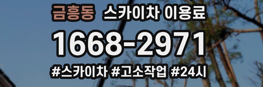 금흥동 스카이차 이용료