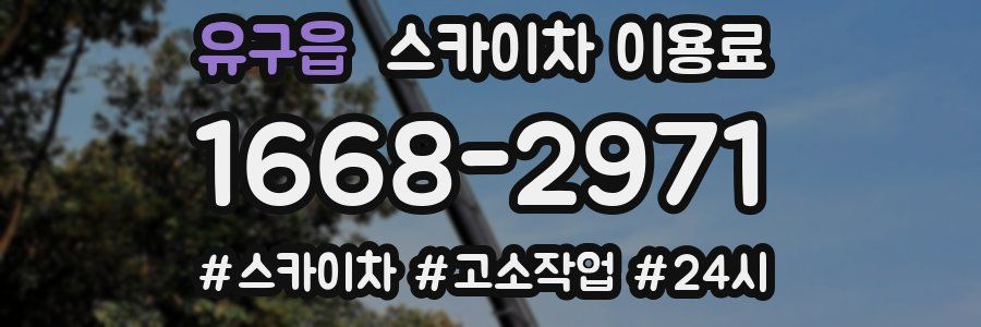 유구읍 스카이차 이용료
