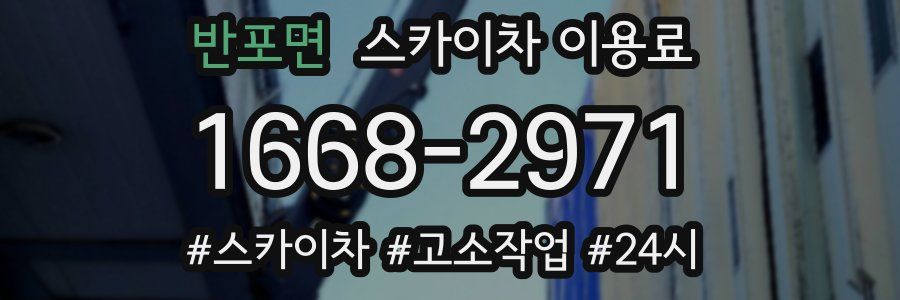 반포면 스카이차 이용료