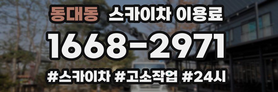동대동 스카이차 이용료