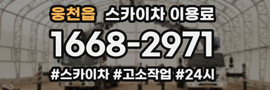 웅천읍 스카이차 이용료