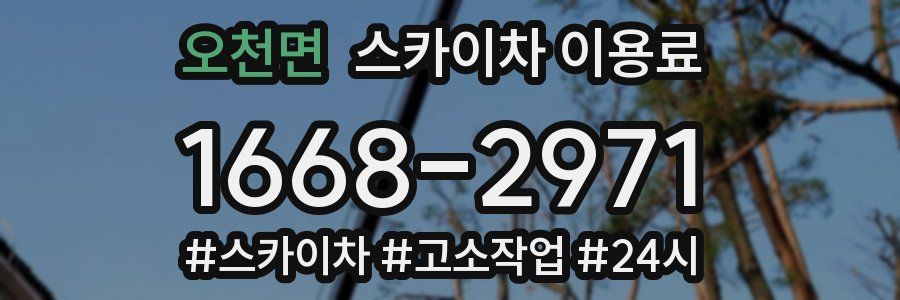 오천면 스카이차 이용료