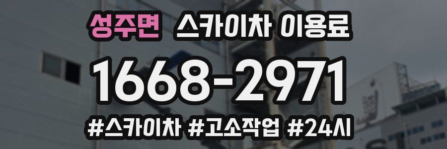 성주면 스카이차 이용료