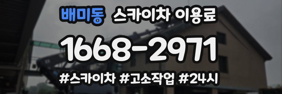 배미동 스카이차 이용료