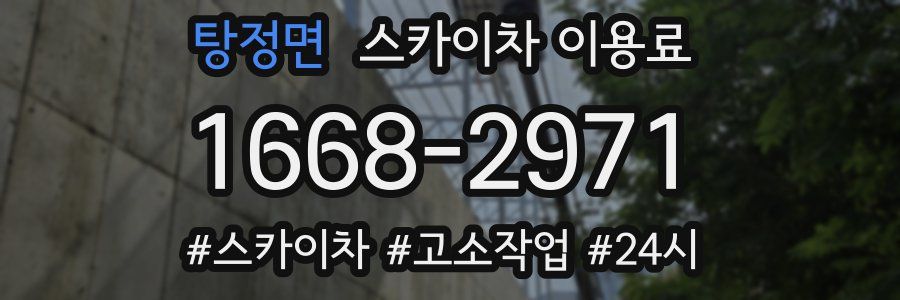 탕정면 스카이차 이용료