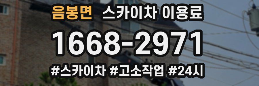 음봉면 스카이차 이용료