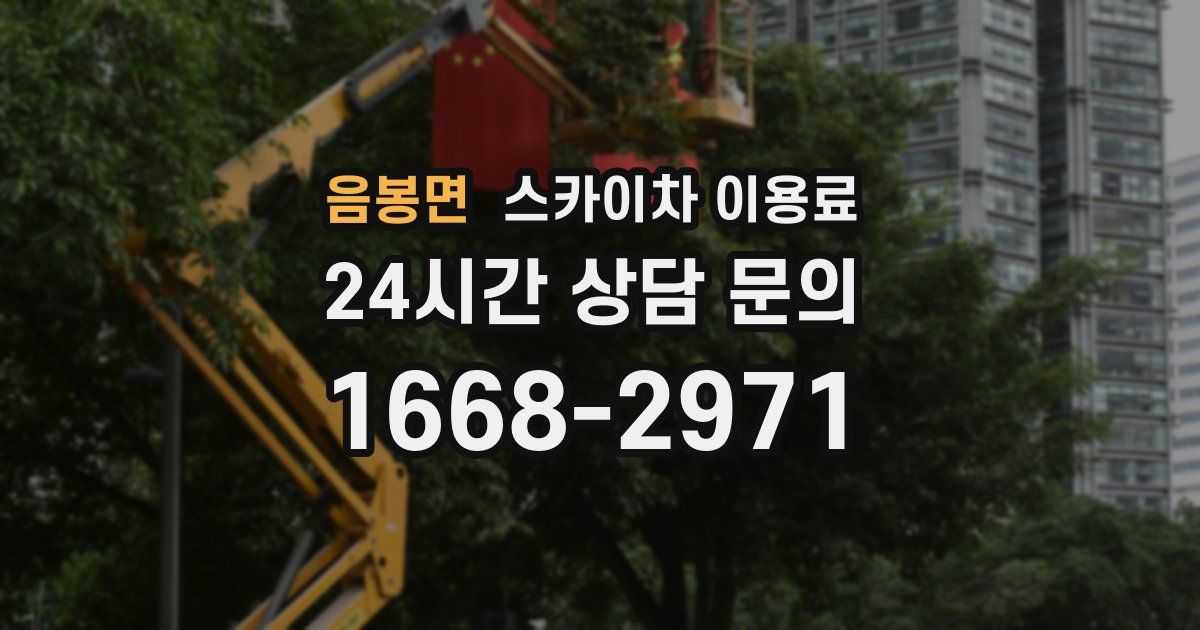 음봉면 스카이차 이용료