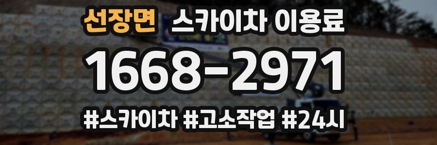 선장면 스카이차 이용료