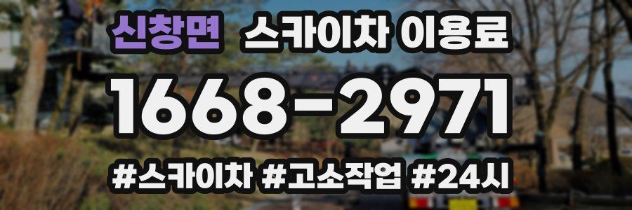 신창면 스카이차 이용료