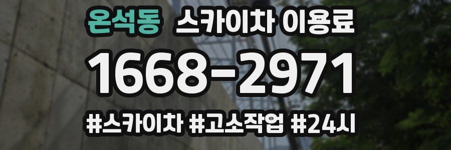 온석동 스카이차 이용료