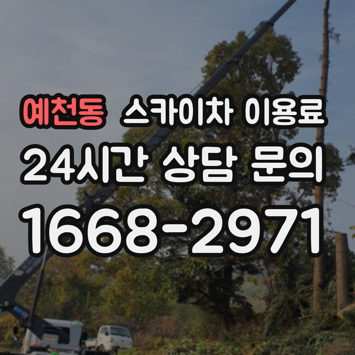 예천동 스카이차 이용료