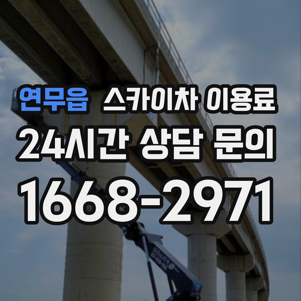연무읍 스카이차 이용료