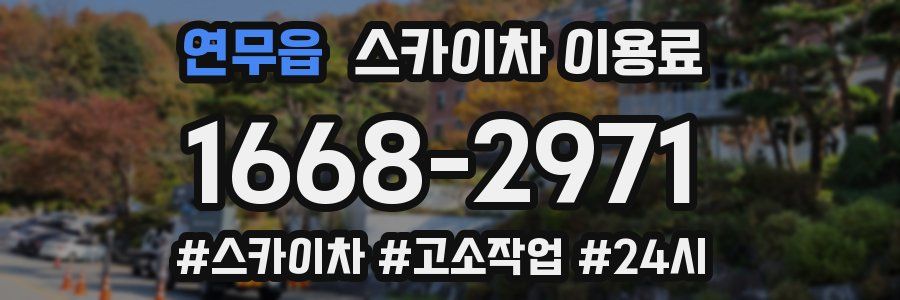 연무읍 스카이차 이용료