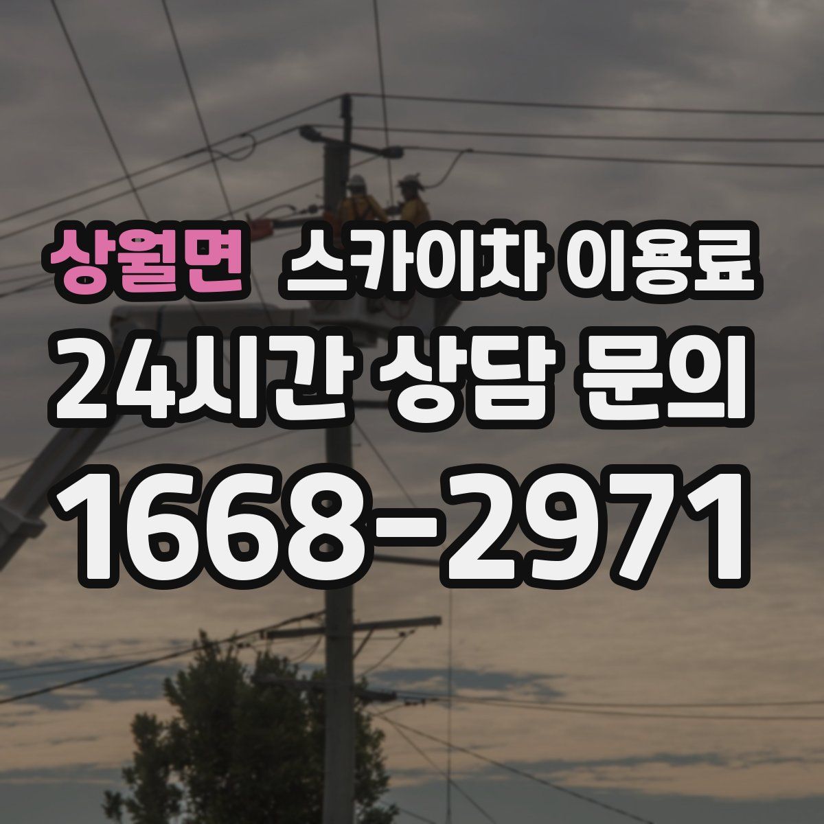 상월면 스카이차 이용료