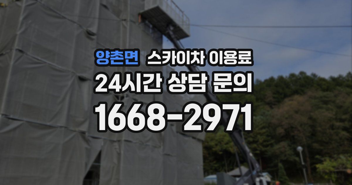 양촌면 스카이차 이용료