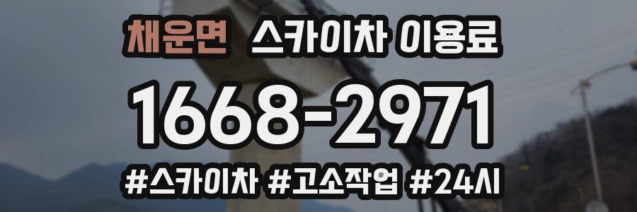 채운면 스카이차 이용료